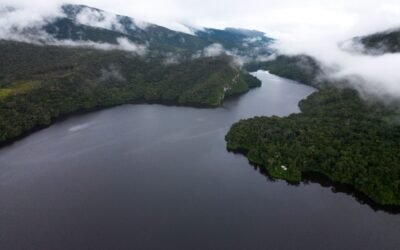 La Amazonía como zona libre de minería, ¿Un compromiso ético real frente a la fragilidad del bioma o una invitación a la informalidad?